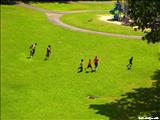 Luis Muñoz Marín Park - SAN JUAN